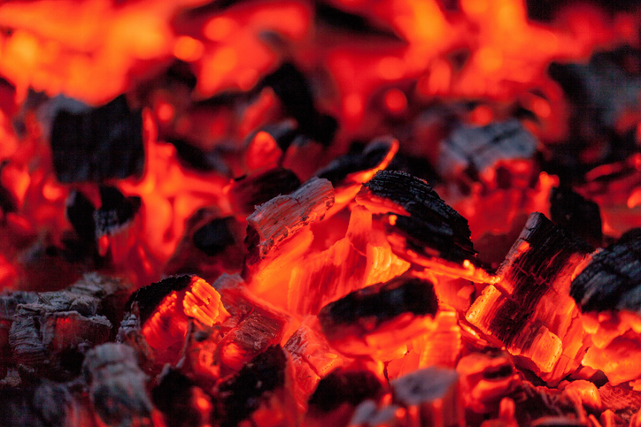 Peat Coal